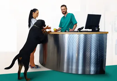 REHAwet Przychodnia weterynaryjna